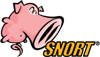Supporting Snort 3 and above