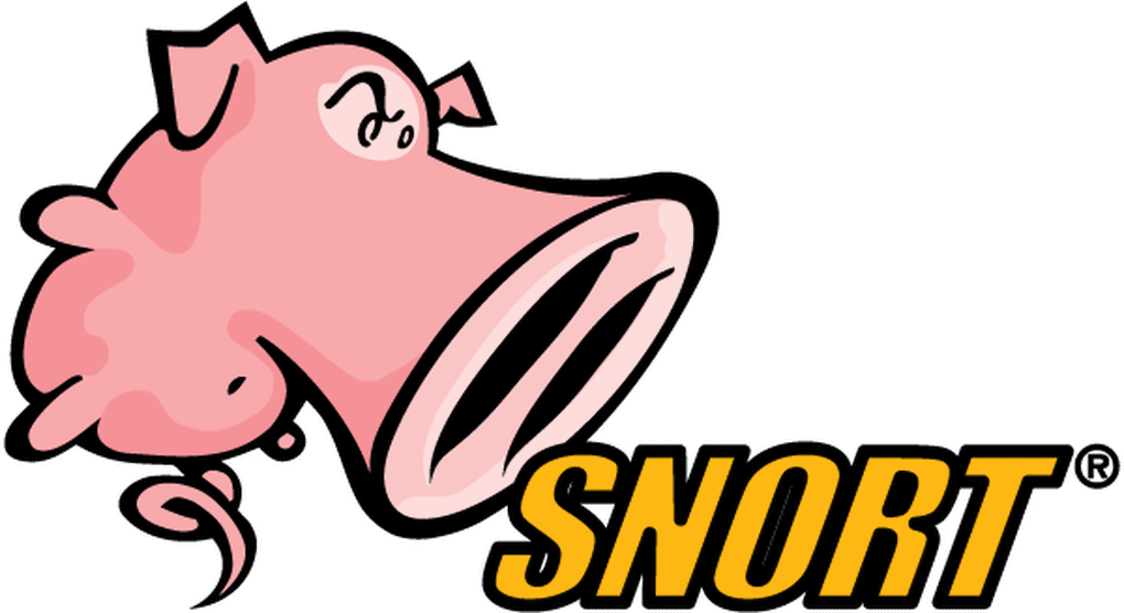 Supporting Snort 3 and above — hero image